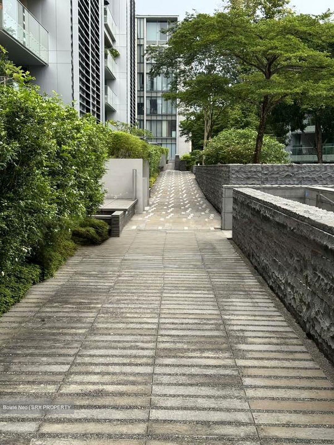 Nassim Park Residences (D10), Condominium #475393221